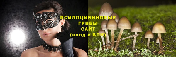 таблы Аркадак
