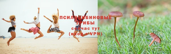 таблы Аркадак