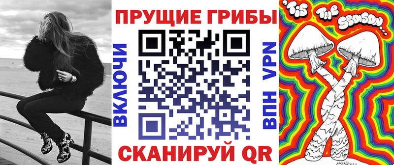 где продают наркотики Вяземский mega tor Галлюциногенные грибы Magic Shrooms